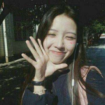 战舰少女rvivo端下载
